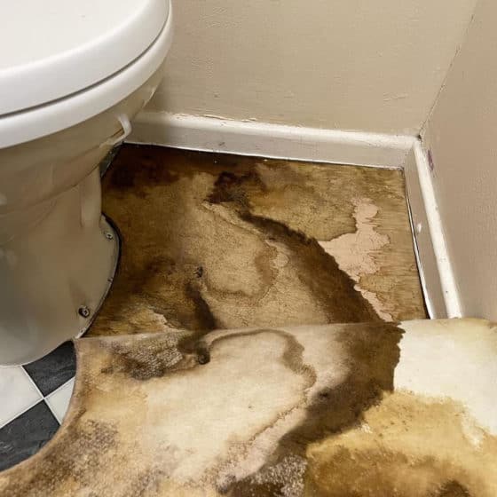 Urgent Toilet Repair 1