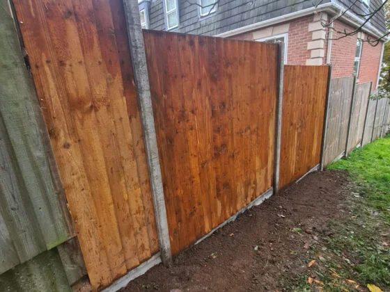 Repaired Fence After