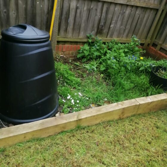 Garden flower beds in need of weeding.