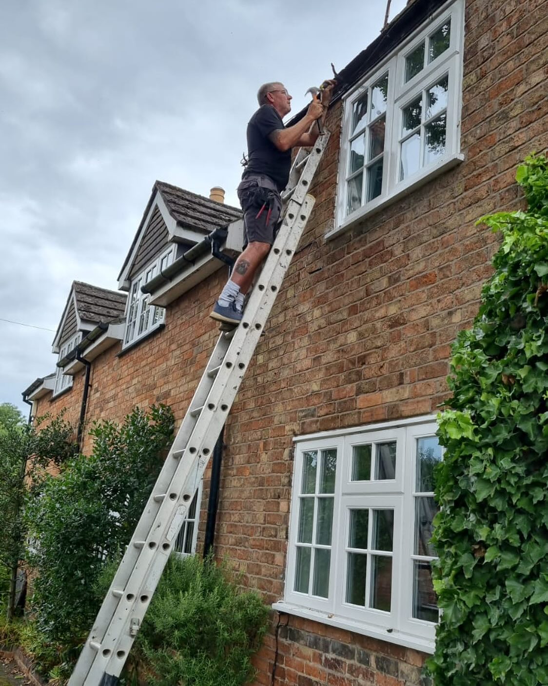 Man on ladder fixing house windows.