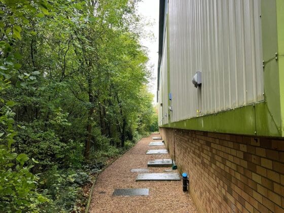 Path beside building and forest during daytime.