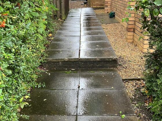 Wet garden path with bushes and building.